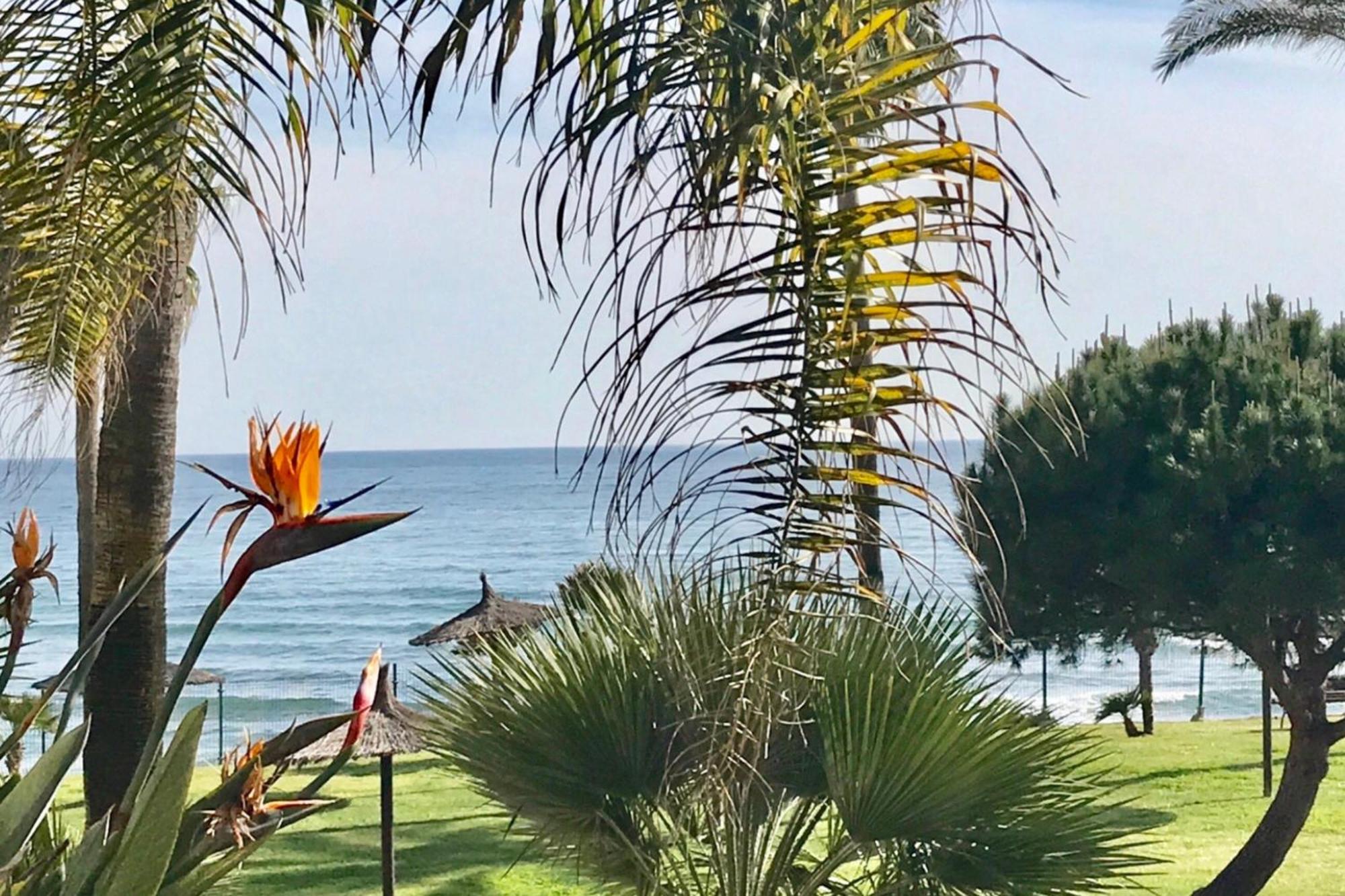 Mi Capricho 2D Beachfront- Apartment With Sea View - Costa Del Sol Sitio de Calahonda المظهر الخارجي الصورة