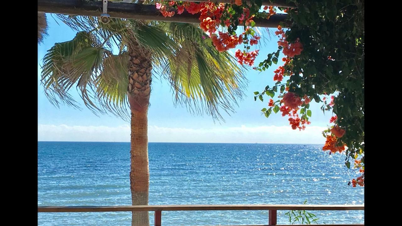 Mi Capricho 2D Beachfront- Apartment With Sea View - Costa Del Sol Sitio de Calahonda المظهر الخارجي الصورة